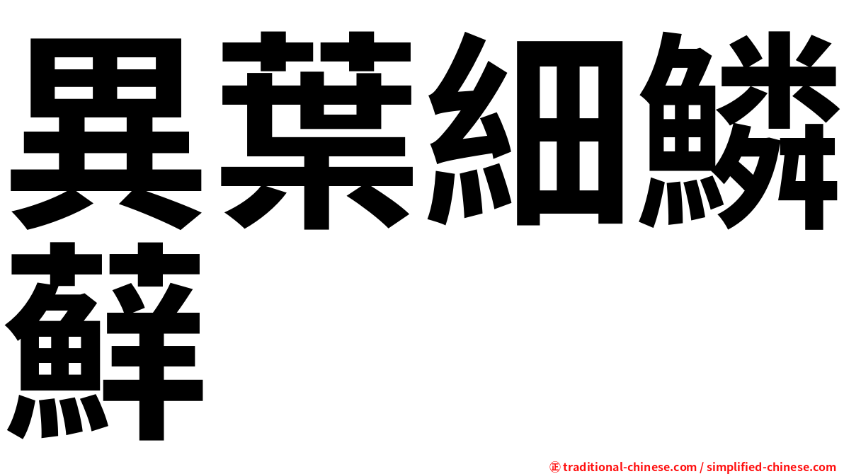 異葉細鱗蘚
