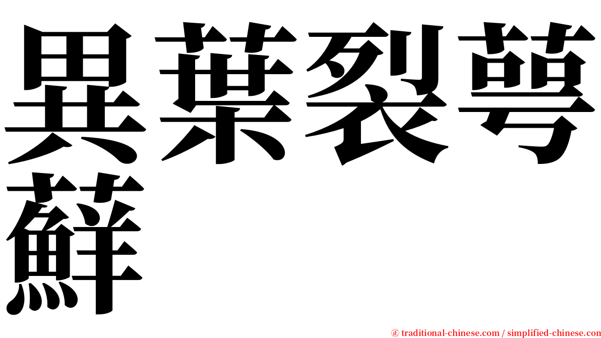 異葉裂萼蘚 serif font