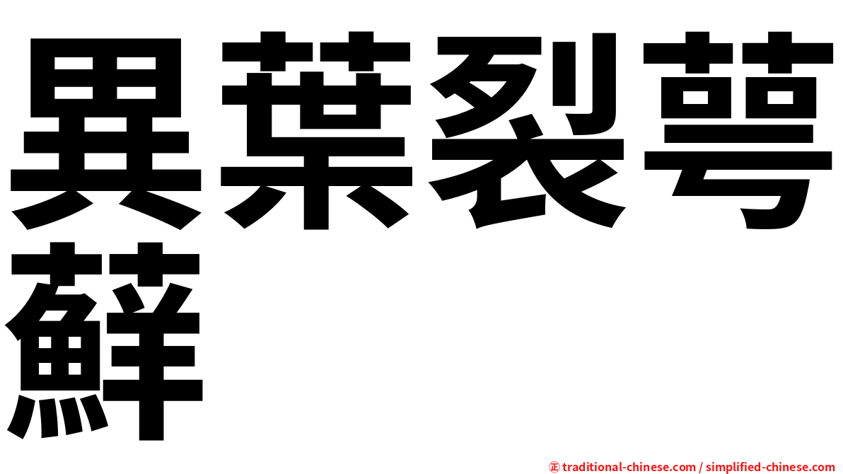 異葉裂萼蘚