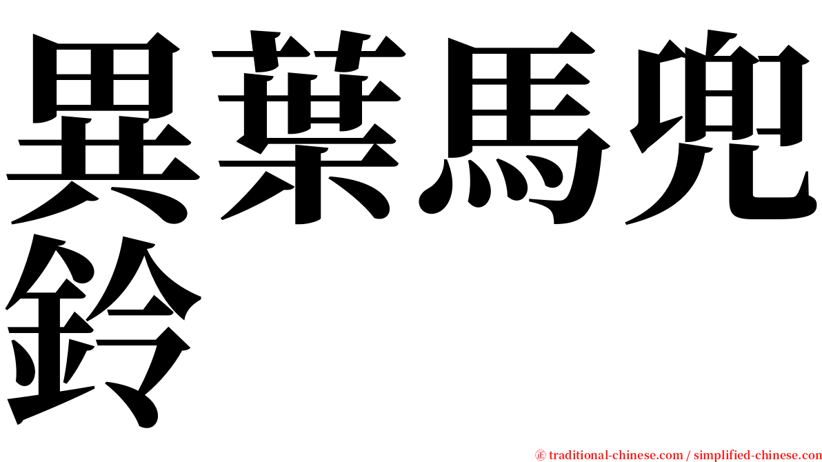 異葉馬兜鈴 serif font