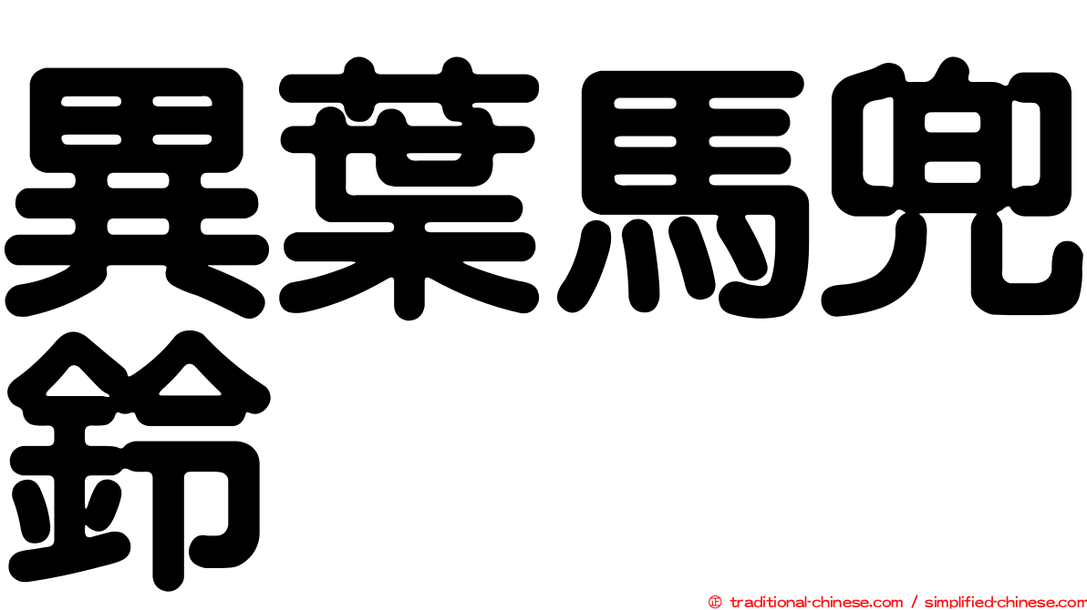 異葉馬兜鈴
