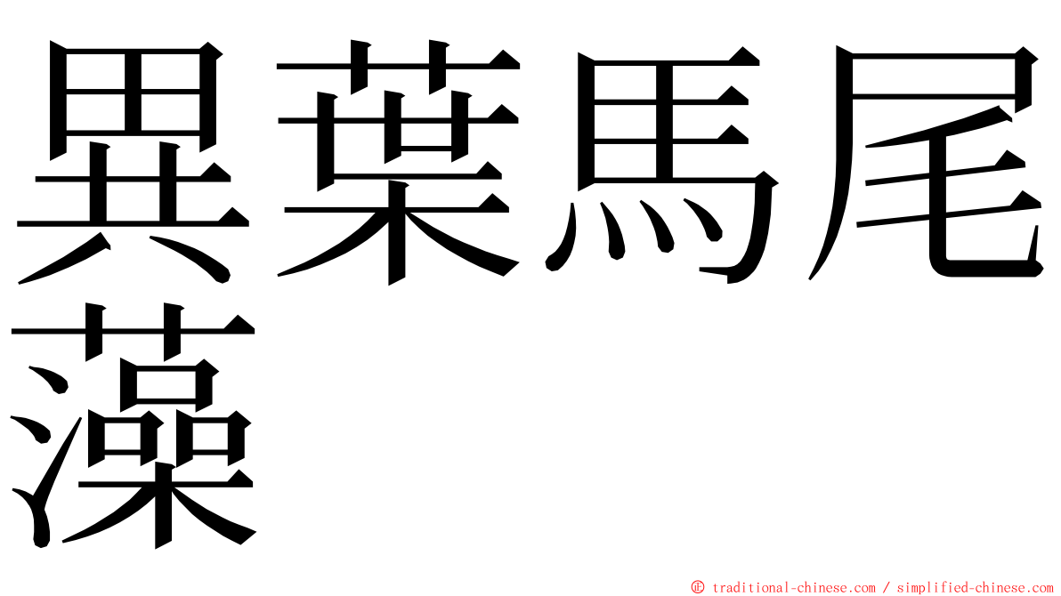 異葉馬尾藻 ming font