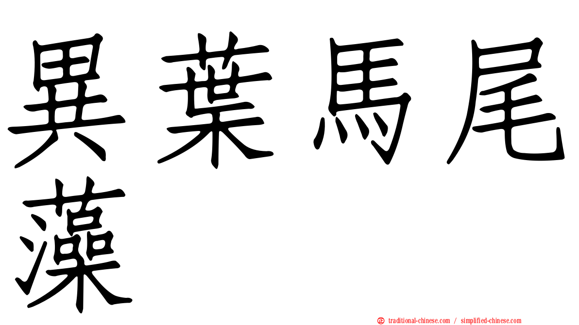 異葉馬尾藻