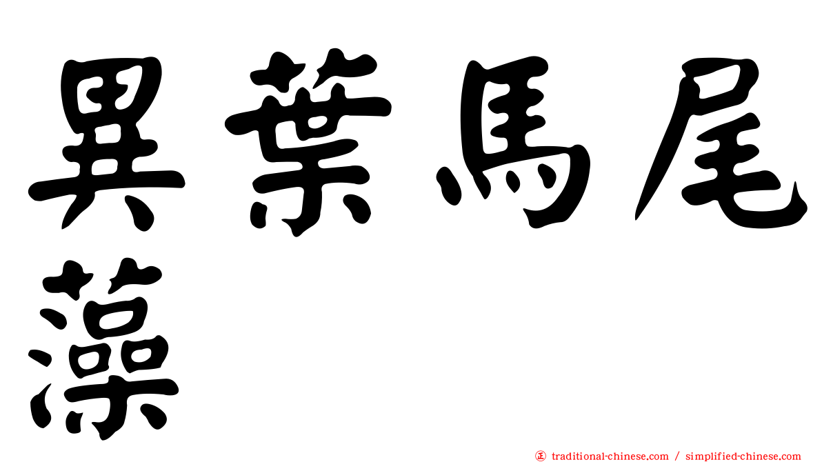 異葉馬尾藻