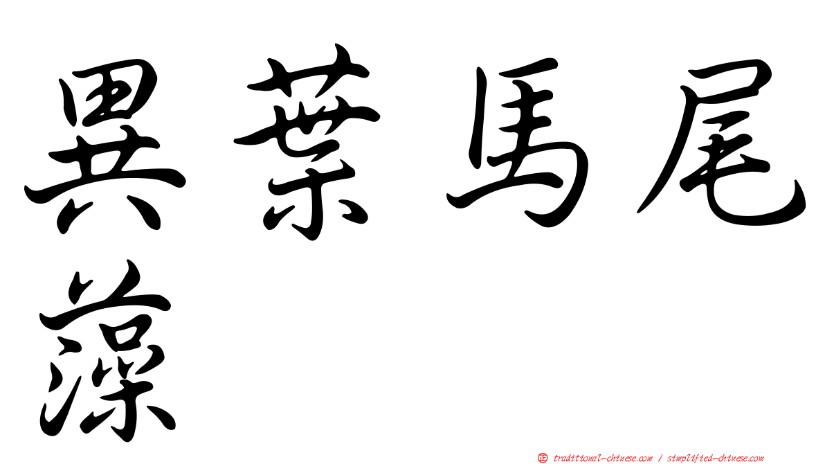 異葉馬尾藻