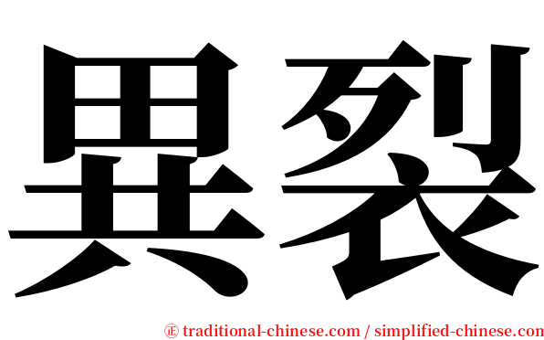 異裂 serif font