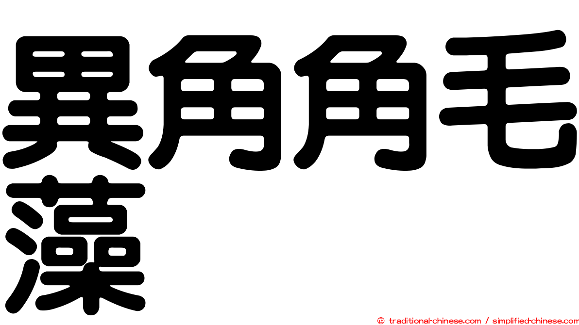 異角角毛藻