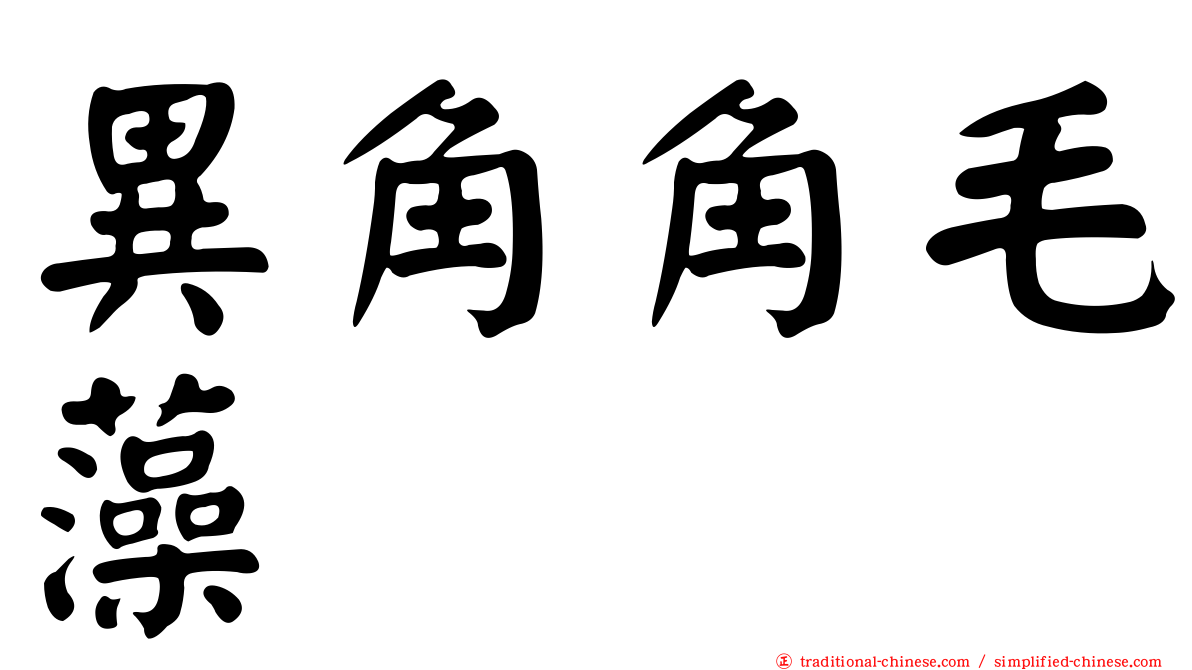 異角角毛藻