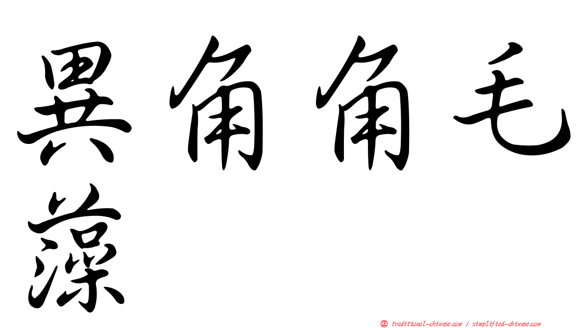 異角角毛藻
