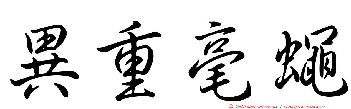異重毫蠅