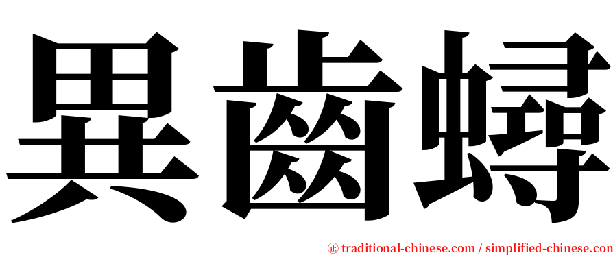 異齒蟳 serif font