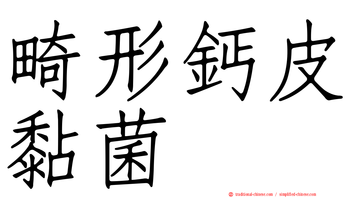 畸形鈣皮黏菌