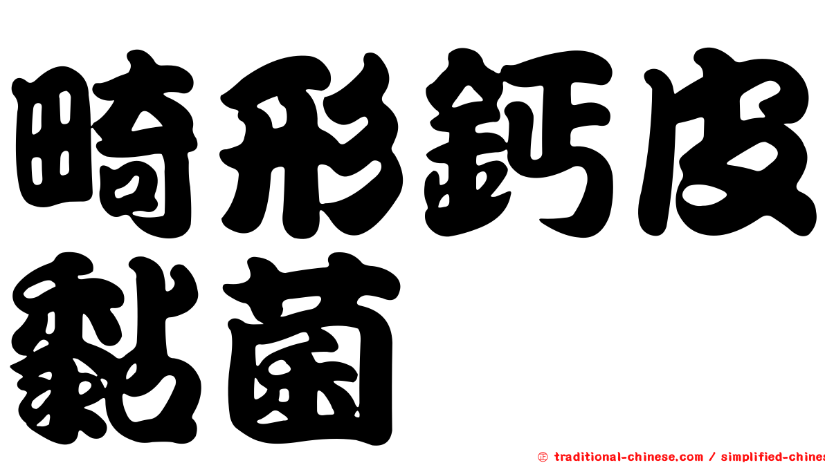 畸形鈣皮黏菌