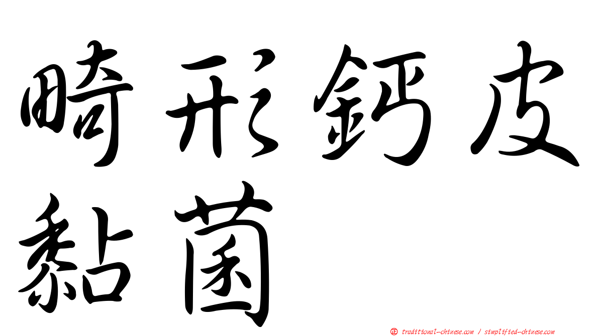 畸形鈣皮黏菌