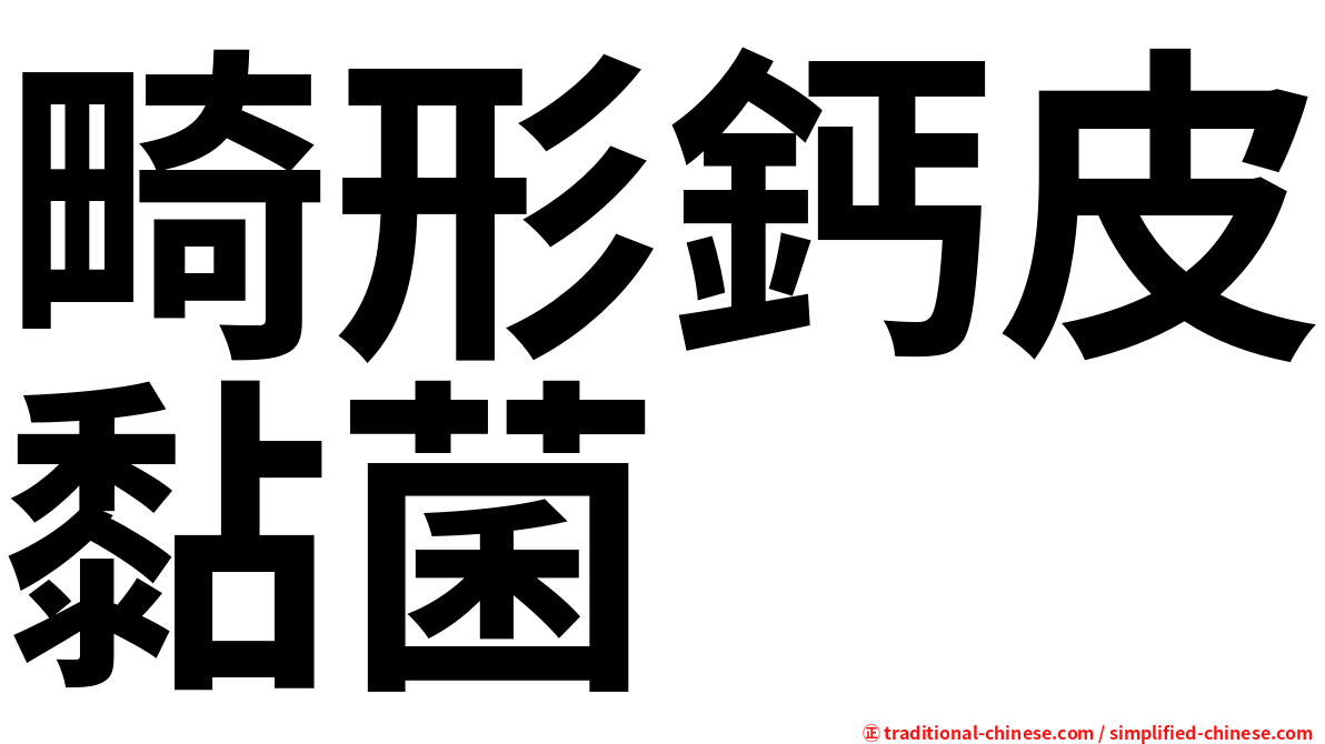 畸形鈣皮黏菌