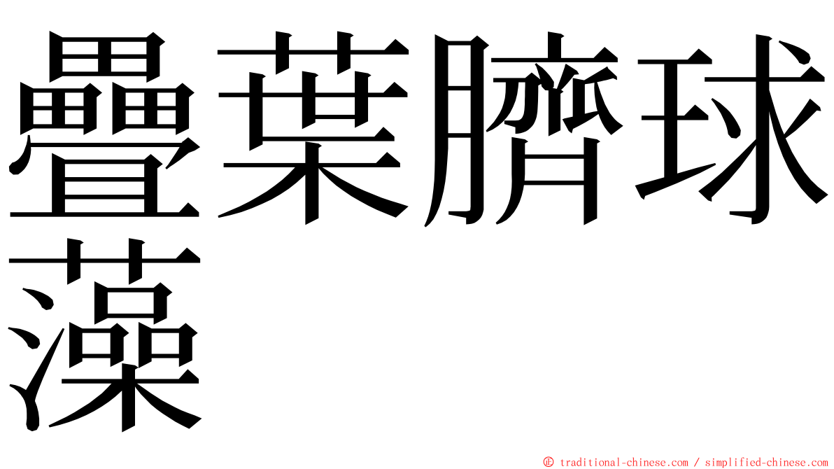 疊葉臍球藻 ming font