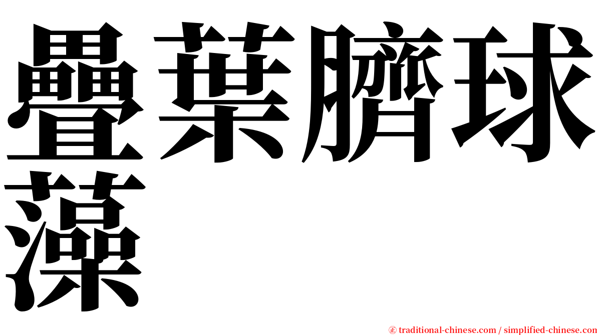疊葉臍球藻 serif font