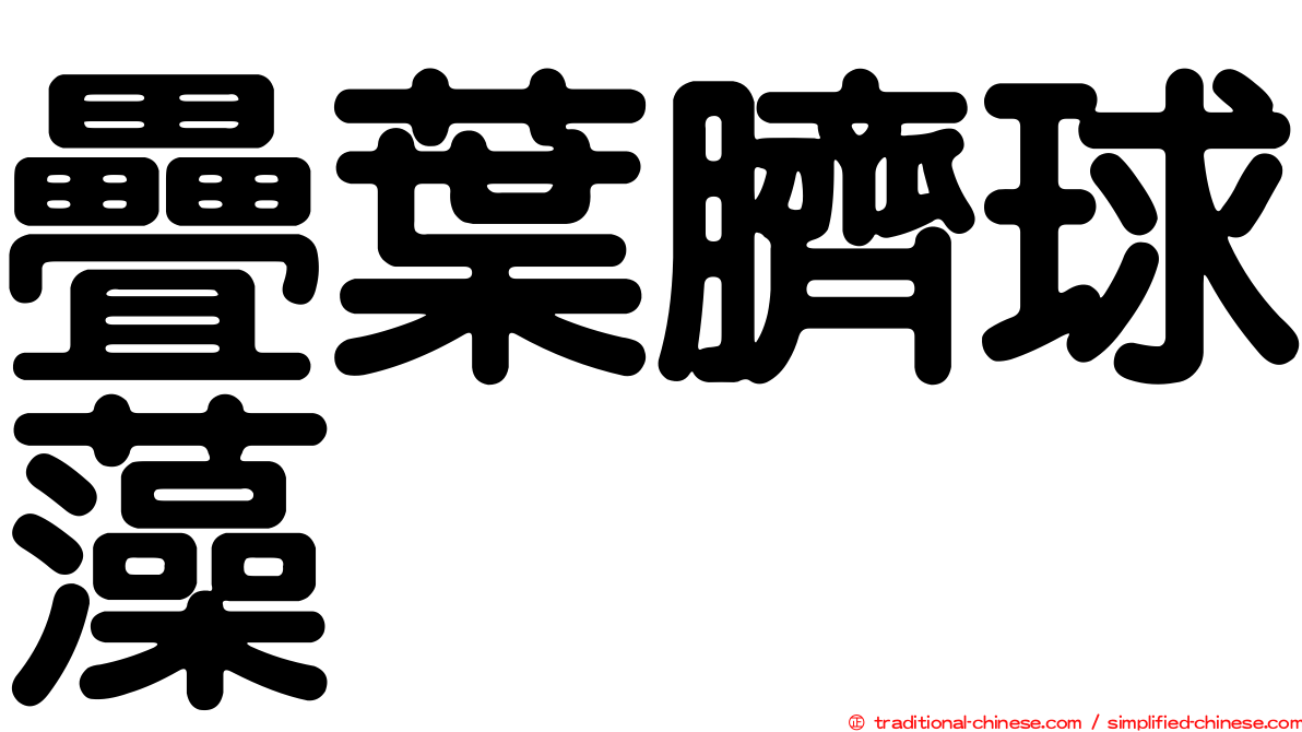 疊葉臍球藻