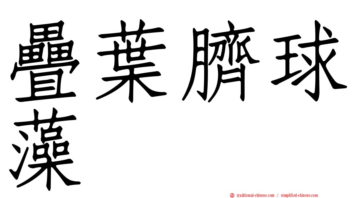 疊葉臍球藻