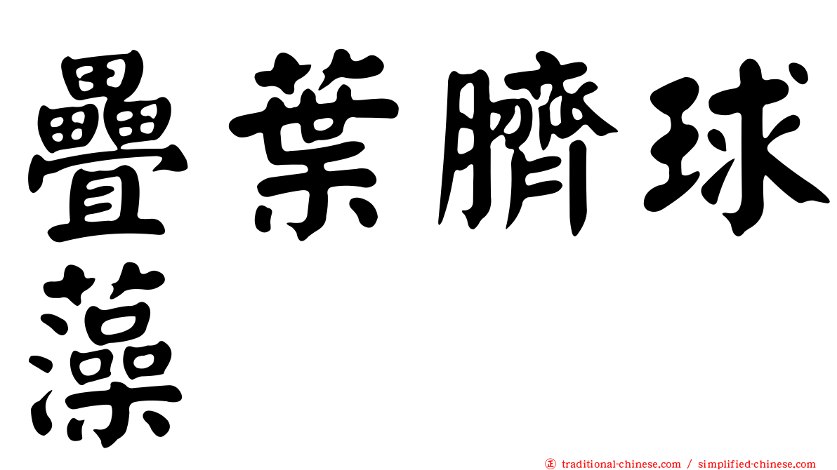 疊葉臍球藻