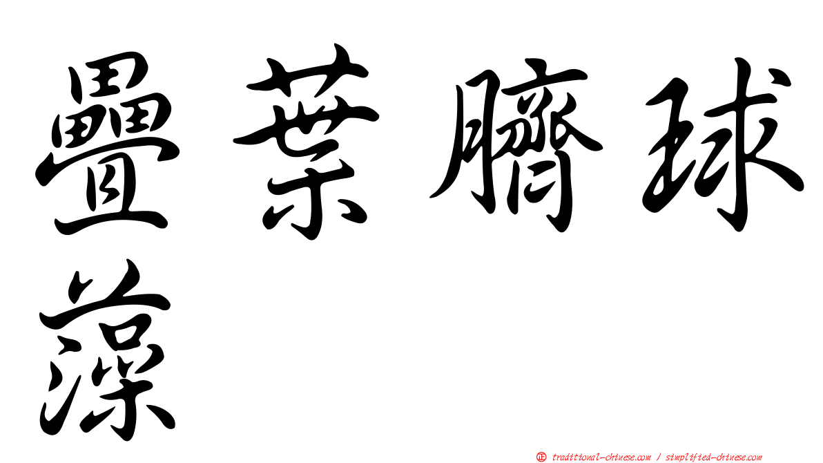 疊葉臍球藻
