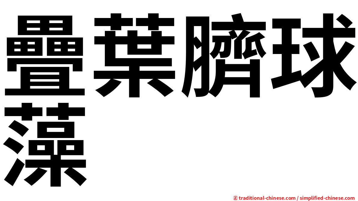 疊葉臍球藻