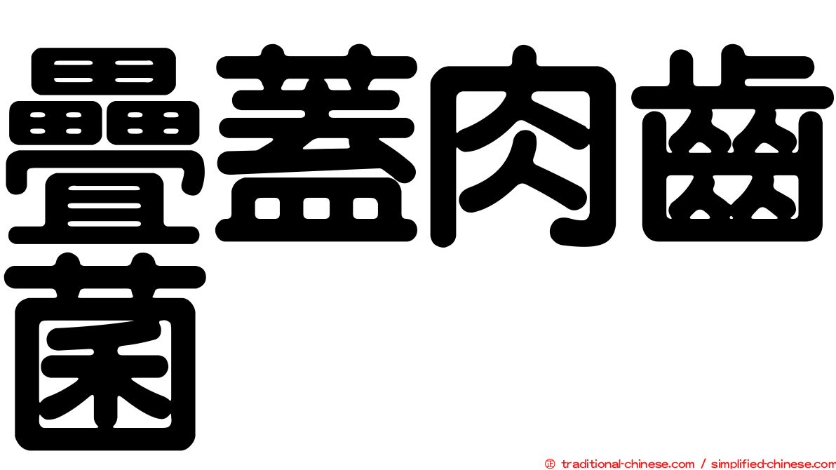 疊蓋肉齒菌