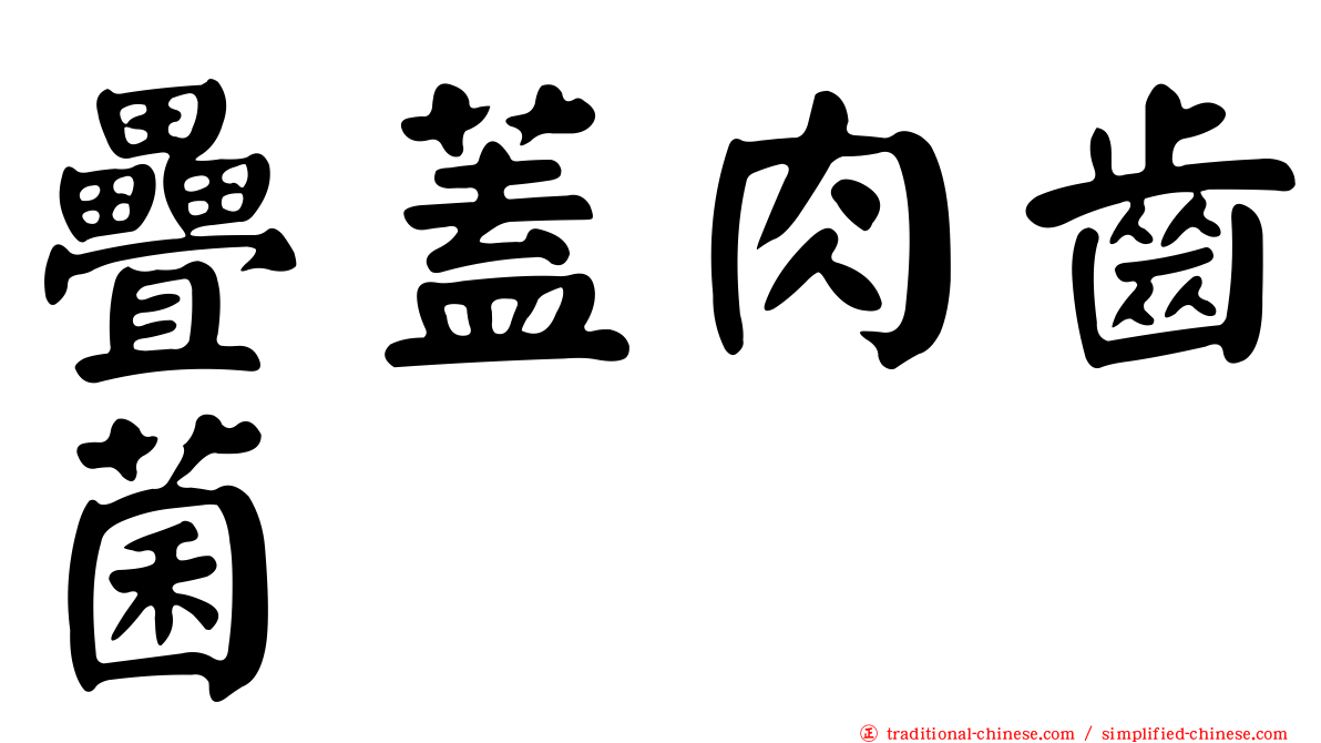 疊蓋肉齒菌