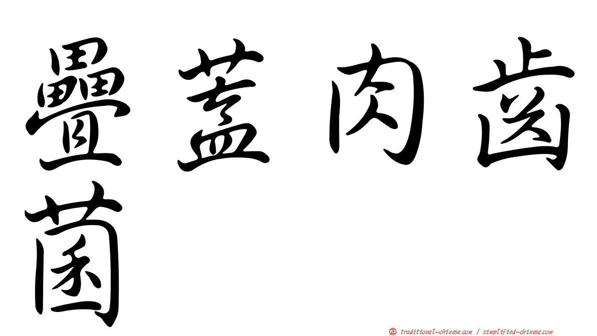 疊蓋肉齒菌