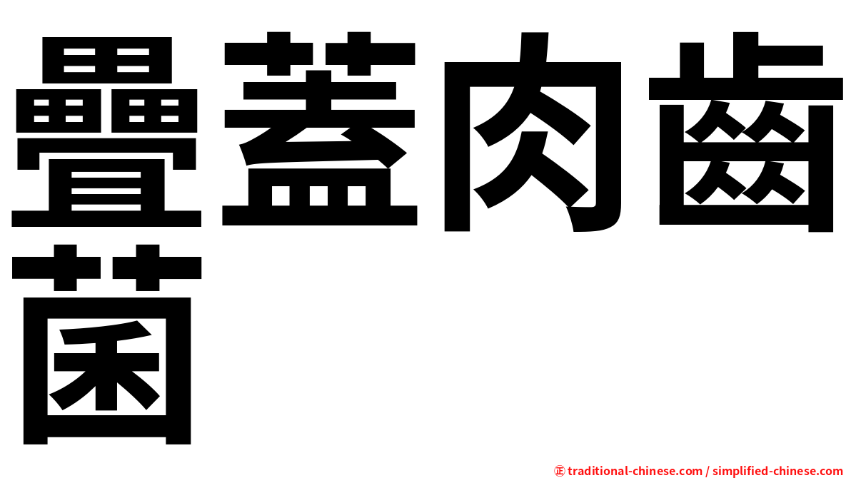 疊蓋肉齒菌