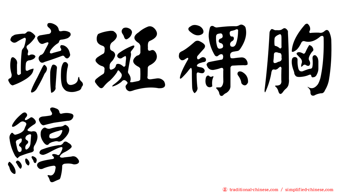 疏斑裸胸鯙