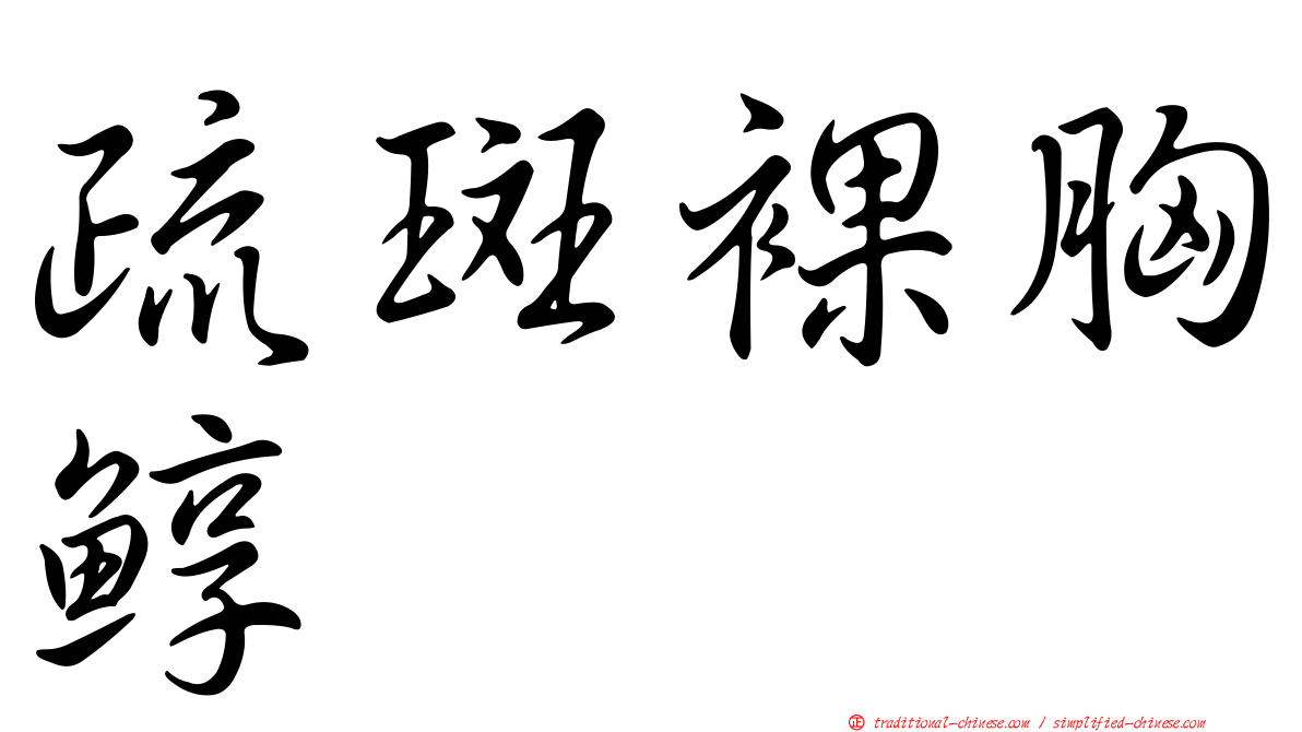 疏斑裸胸鯙