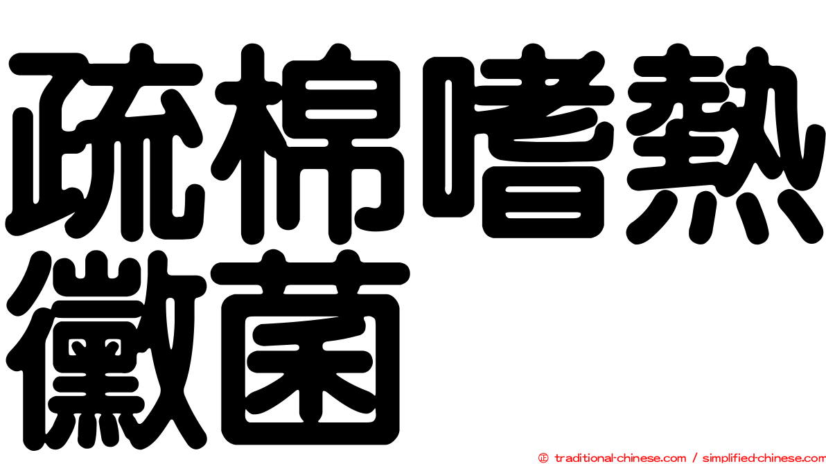 疏棉嗜熱黴菌