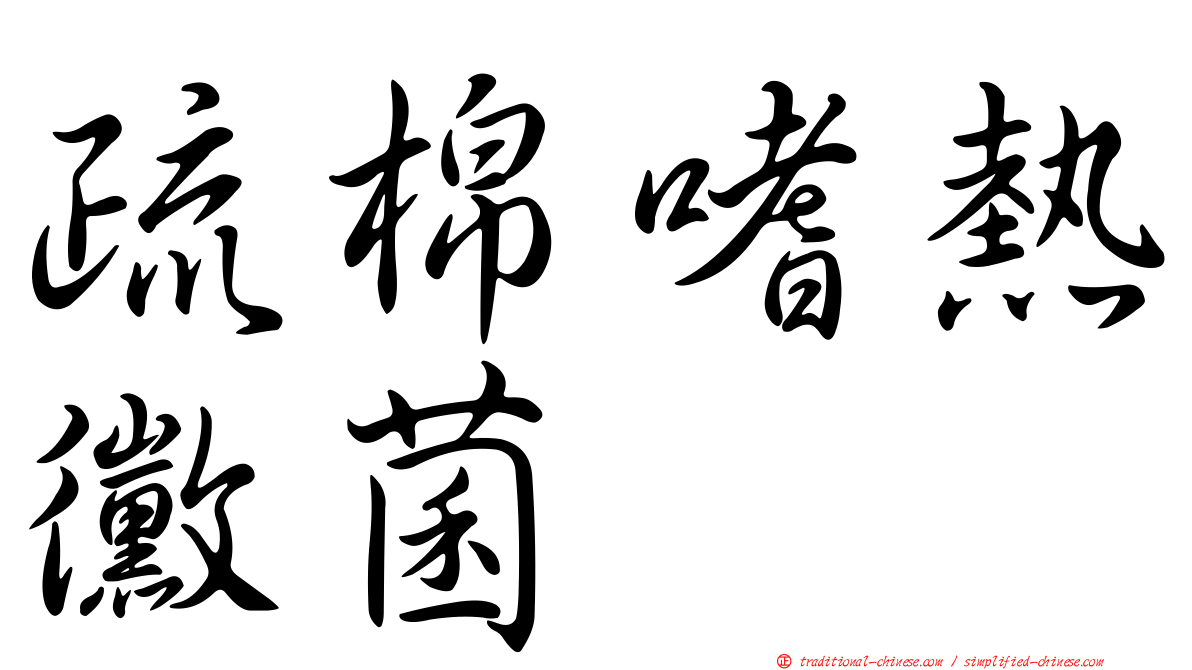 疏棉嗜熱黴菌