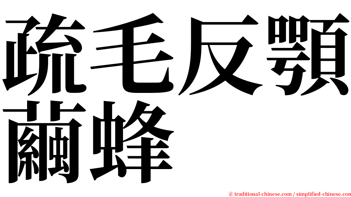 疏毛反顎繭蜂 serif font