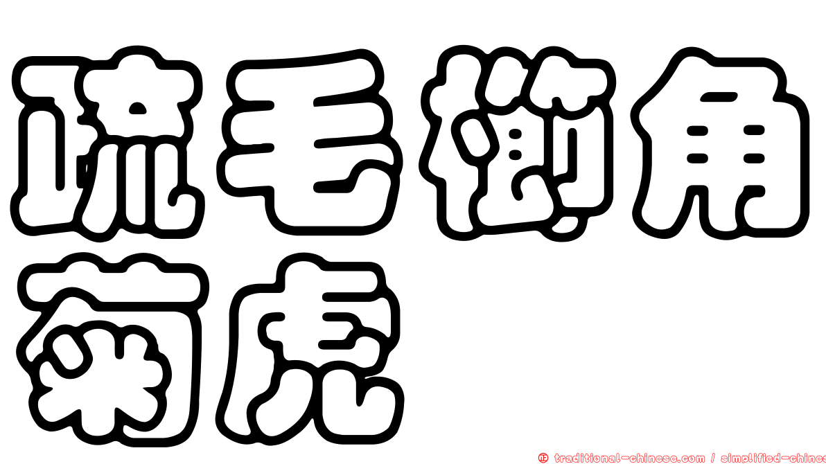 疏毛櫛角菊虎