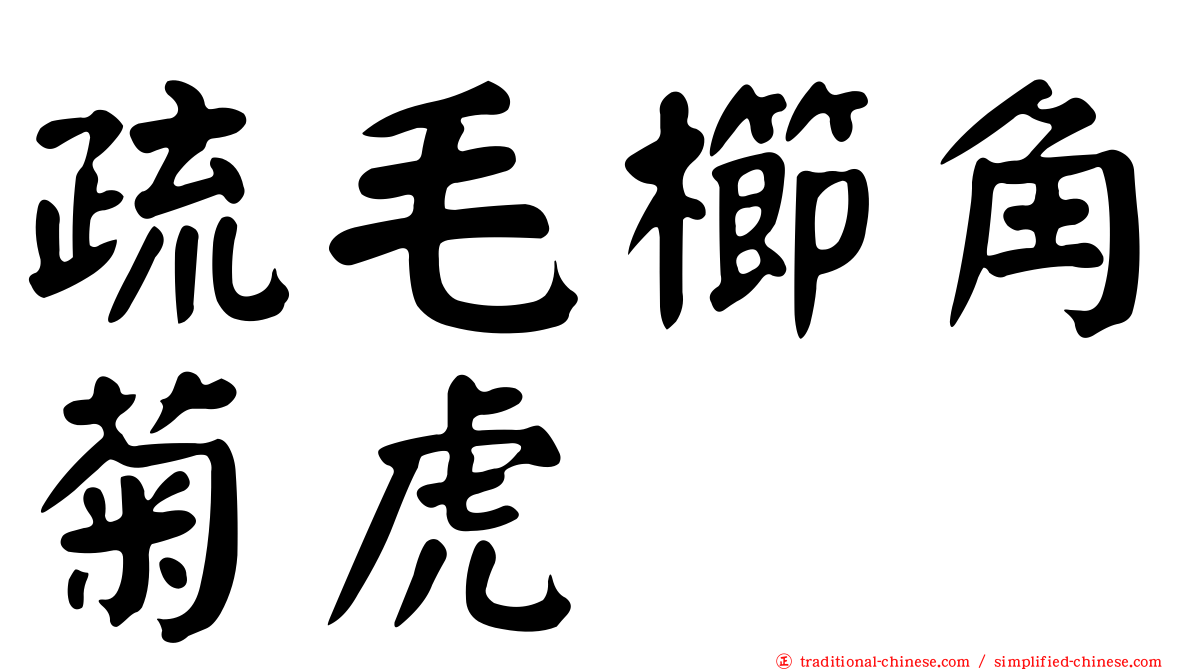 疏毛櫛角菊虎