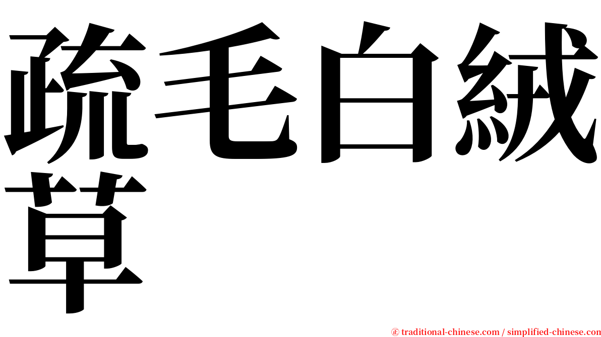 疏毛白絨草 serif font