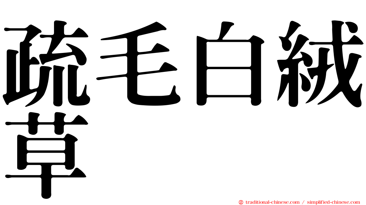 疏毛白絨草