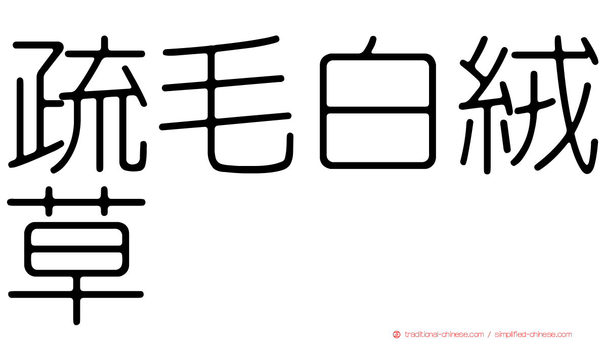疏毛白絨草