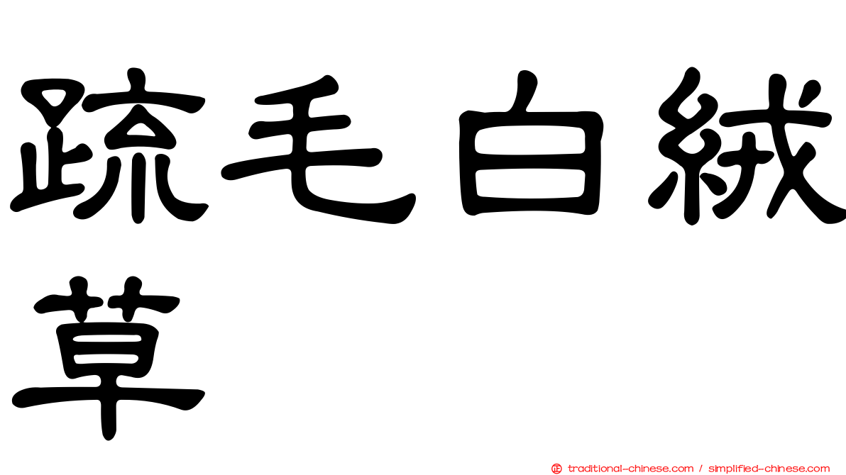 疏毛白絨草