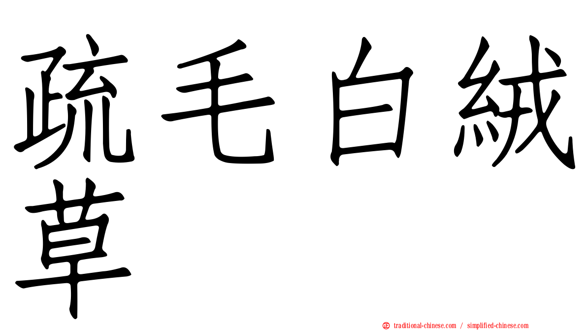 疏毛白絨草