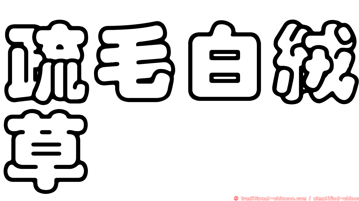 疏毛白絨草