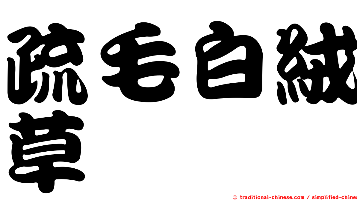 疏毛白絨草