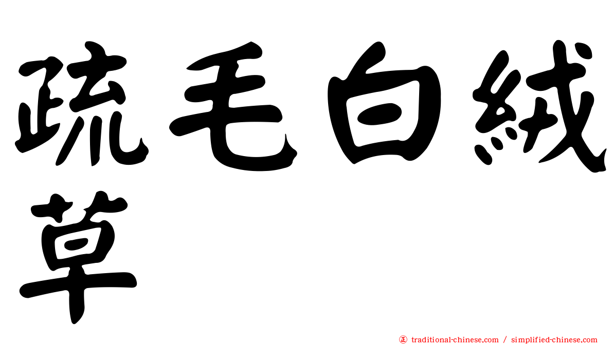 疏毛白絨草
