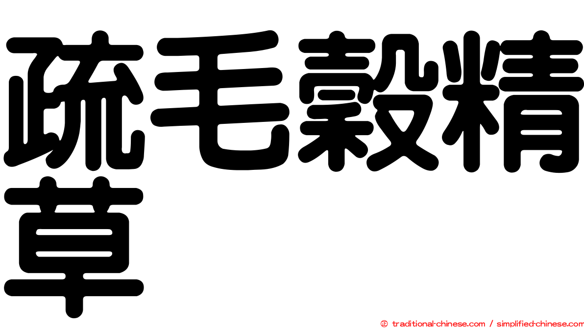 疏毛穀精草