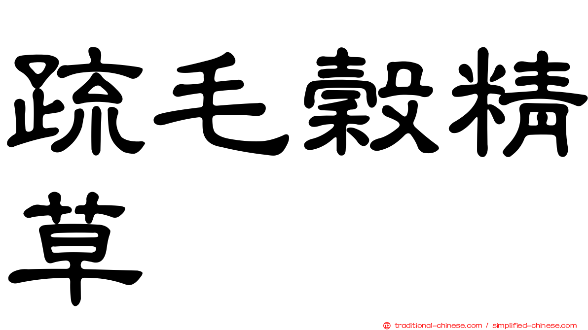 疏毛穀精草