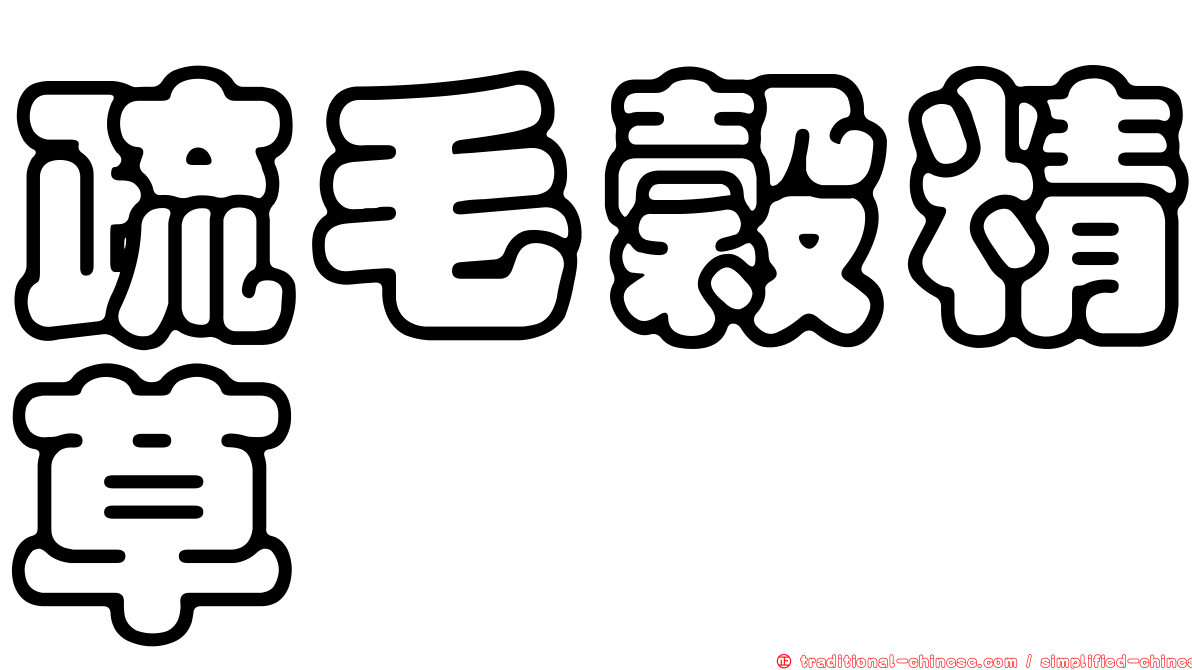 疏毛穀精草