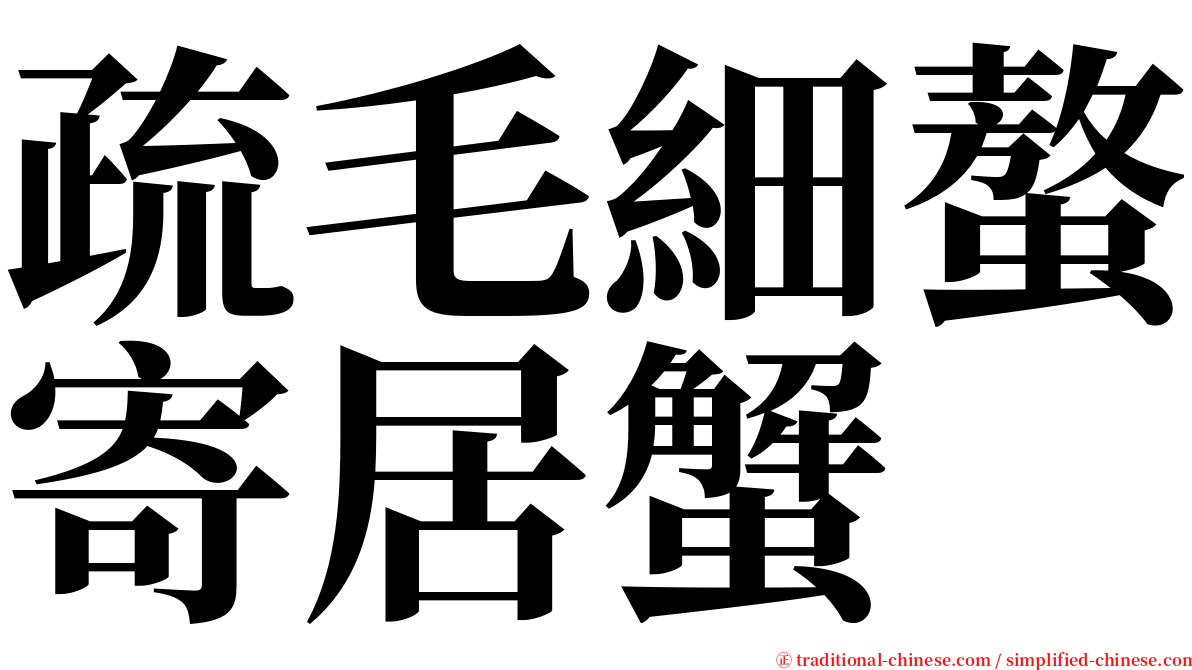 疏毛細螯寄居蟹 serif font