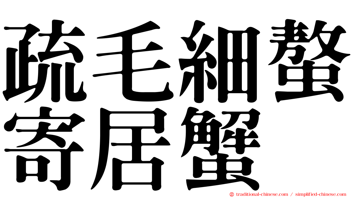 疏毛細螯寄居蟹